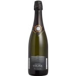 espumante-santa-colina-brut-750ml